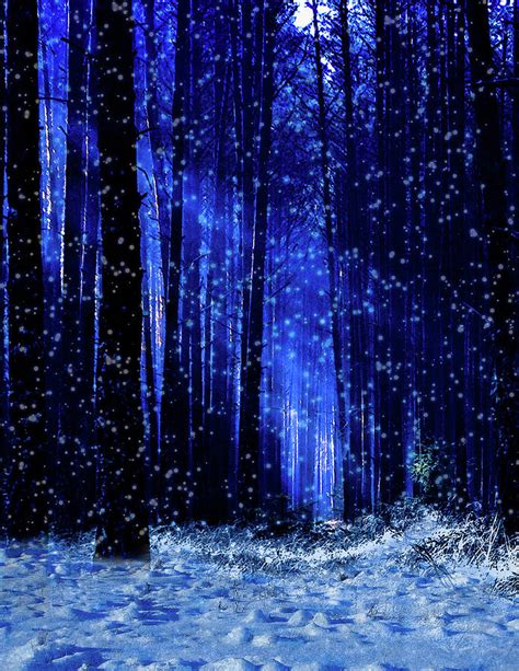 Winter Wonderland Forest Digital Art by Zach Davidson - Fine Art America