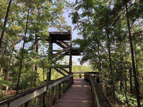 Hiking Trails Jacksonville, Florida | Hiking Trails Near Me