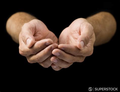 Close-up of a man's cupped hands - Superstock | Hand reference, Hand ...