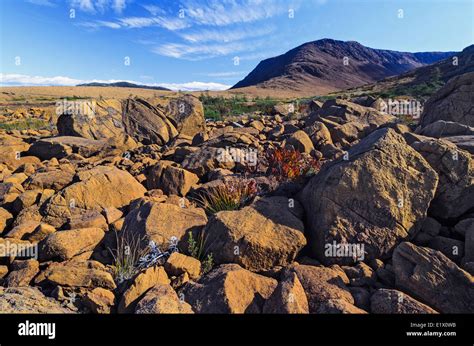 TABLELANDS. Peridotite rock is rare at earth's surface reason for Stock ...