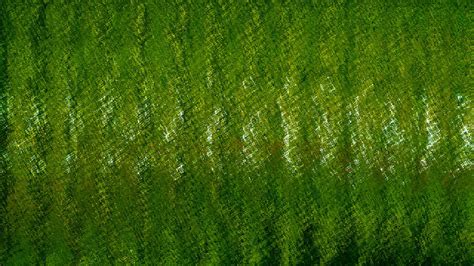 Green Textured Background Free Stock Photo - Public Domain Pictures