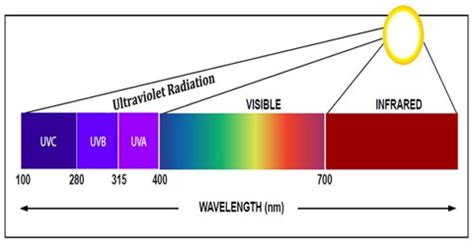 About Ultraviolet Radiation - Assignment Point