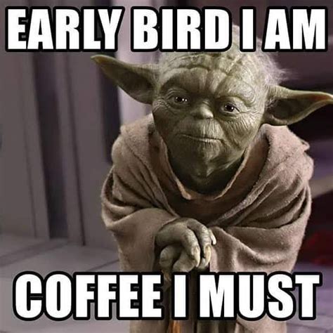 Have a great week ahead x | Star wars humor, Yoda quotes, Funny memes