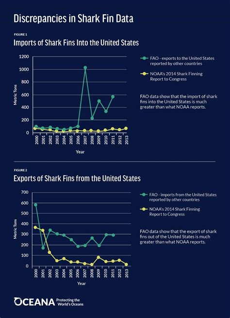 Shark Fin Trade: Why it Should be Banned in the United States - Oceana USA