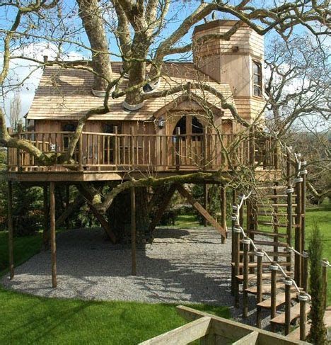 Custom Tree Houses