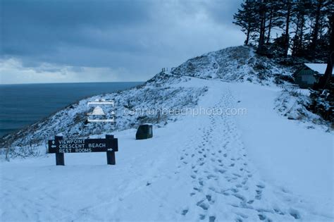 Winter at Ecola State Park - Cannon Beach Photo