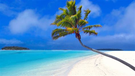 Tropical Island Wallpaper 4k