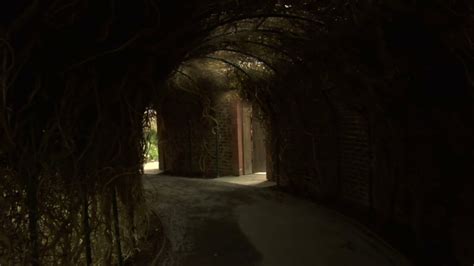 Tunnels In Secret Garden Stock Footage SBV-300151046 - Storyblocks