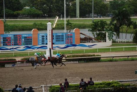 Moving the starting gate - Picture of Hipodromo Camarero, Canovanas - TripAdvisor