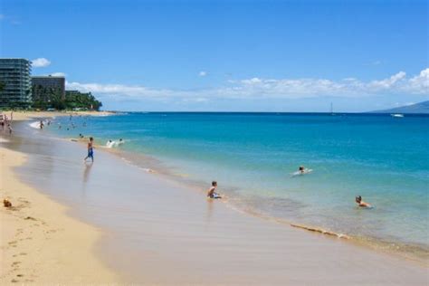 Kapalua Bay Snorkeling Secrets! The Complete Guide to Maui Snorkeling!