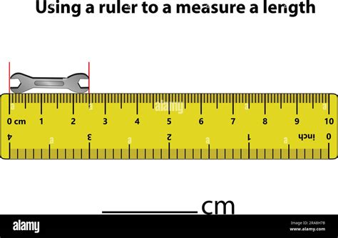 Measuring length in centimeters with the ruler. Education developing worksheet. Game for kids ...