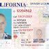 California Drivers License Template - Download PSD Templates - US Novelty Drivers License Templates