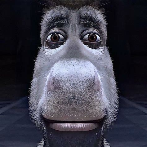 a close up of a monkey's face with an odd look on its face