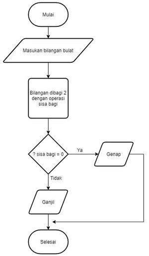 Perbedaan Fungsi 2 Simbol Flowchart Di Gambar - CODEPOLITAN