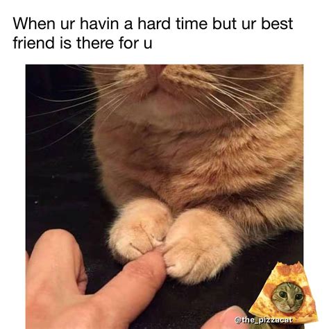 Bf forever : r/wholesomememes