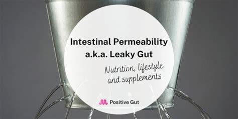 The Best Supplements for Leaky Gut - Positive Gut | Optimize Gut Health