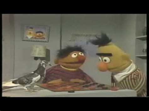 Sesame Street Bert Pigeon