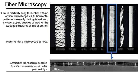 What Does Wool Look Like Under a Microscope? Unlock the Secrets of this Fabulous Fiber