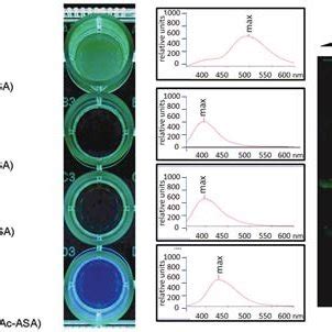 In-gel visualizing of 5-ASA interaction with BSA and Identifying 5-ASA ...