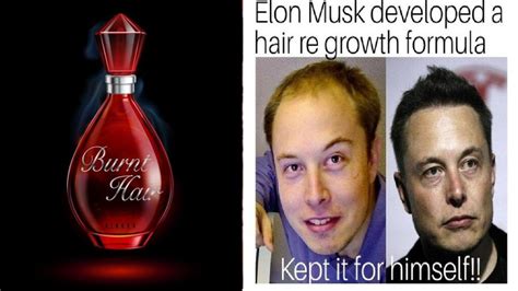 50+ Elon Musk Memes That Are Going Viral On Social Media