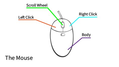 Parts Of A Mouse Diagram