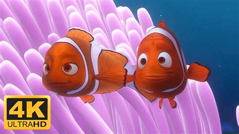 Finding Nemo (2003) Opening Scene, Meet Nemos Mom & Dad, Barracuda ...