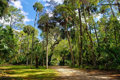 7 Best Things To Do In Ocala National Forest, Florida - WorldAtlas