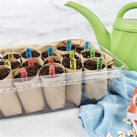 DIY Seed Starter | Gardening with Kids – Better Life Blog