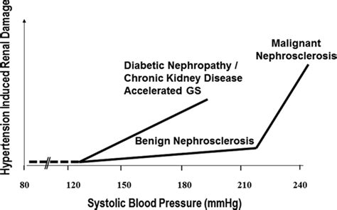 Hypertensive Kidney Injury and the Progression of Chronic Kidney ...