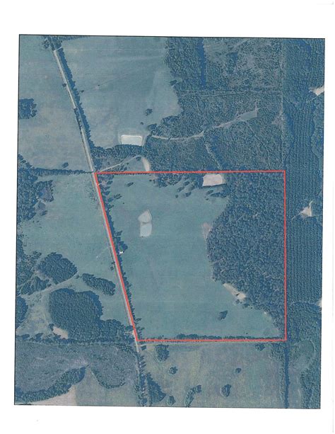 165 acres in Bullock County, Alabama