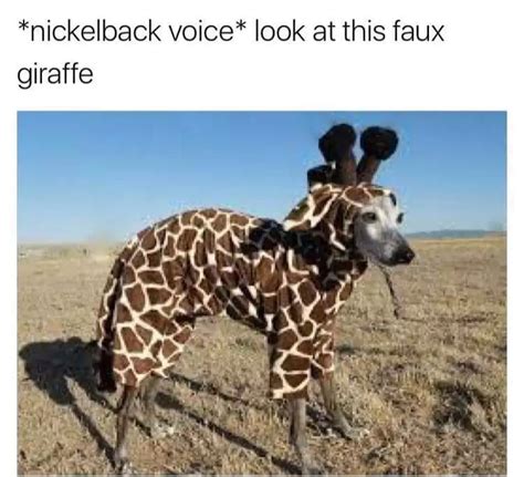 The best Giraffe memes :) Memedroid