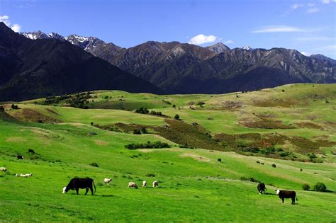 New Zealand countryside — Science Learning Hub