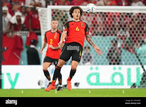 Axel Witsel of Belgium during the FIFA World Cup Qatar 2022 match ...