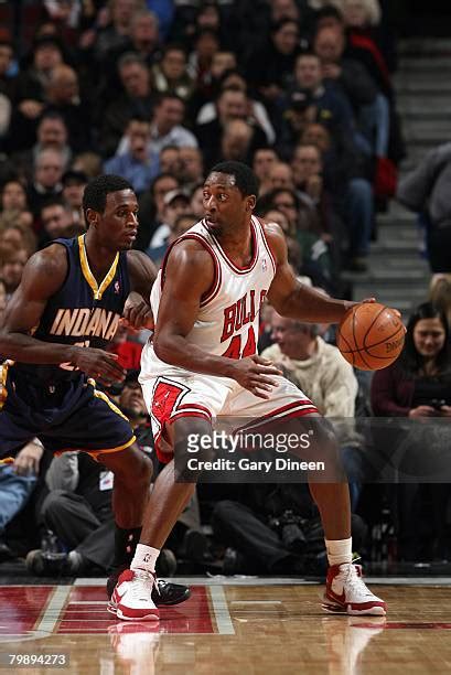 208 Chicago Bulls Adrian Griffin Photos & High Res Pictures - Getty Images