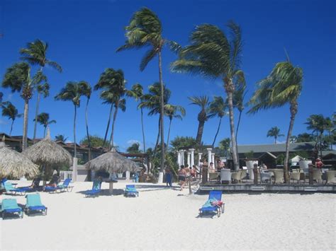 #Sandals resort on #EagleBeach in #Aruba | Beautiful spots, Aruba, Cruise