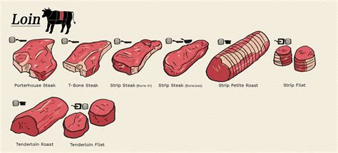 Beef Cuts: Loin, Rib, Sirloin - Guide To Different Cuts of Beef