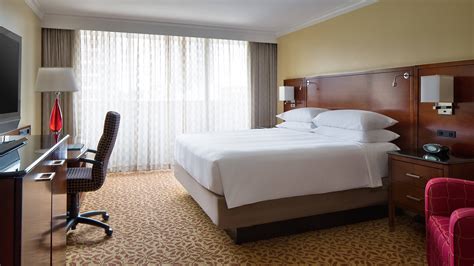 Pet-Friendly Hotel near Atlanta | Atlanta Marriott Buckhead Hotel ...