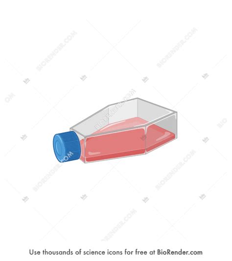 Free Cell culture flask (T75) Icons, Symbols & Images | BioRender