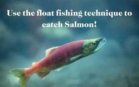 Salmon Fishing- A Guide detailing Plunking & Float Fishing