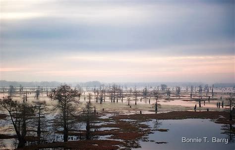 "View from Atchafalaya Basin Bridge" by Bonnie T. Barry | Redbubble