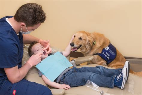 Rex to the Rescue! Therapy Dog Calms Nerves at Cramer & Bond Dentistry ...