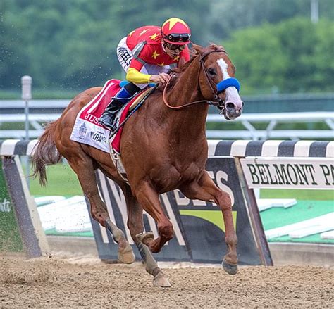 Triple Crown Winners - BloodHorse