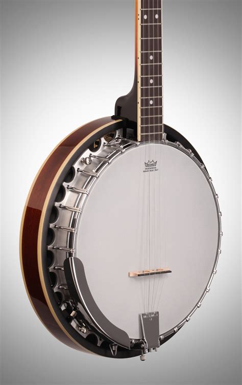 Best Banjo for Folk Music