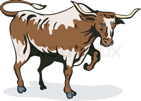 Texas Longhorn Bull | Stock vector | Colourbox