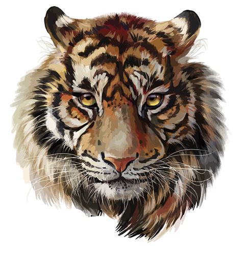 Tiger Cartoon Face Png - dream-inuyasha