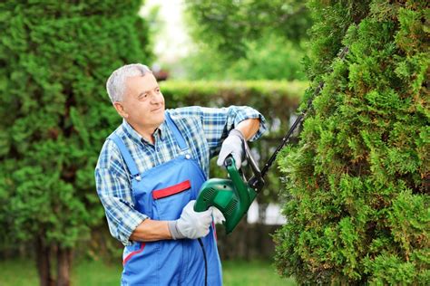 Pruning Evergreens | ThriftyFun