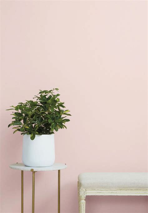 #bedroomcolors | Pink paint colors, Light pink paint, Pink bedroom walls