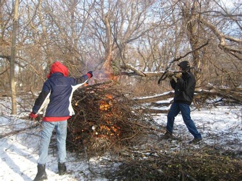 Put another log on the Fire : Frederick Law Olmsted Society