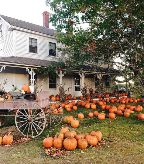 pumpkins, autumn and farmhouse - image #6487398 on Favim.com