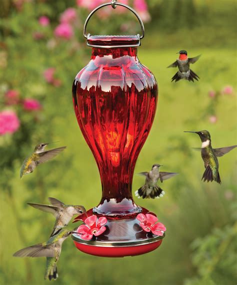 15 of the Best Hummingbird Feeders: What to Look for When Buying